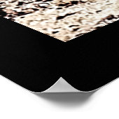 Nationaal park Death Valley Poster (Hoek)