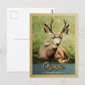  nationaal park Deer Briefkaart (Voorkant / Achterkant)