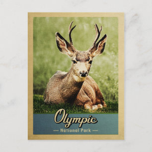  nationaal park Deer Briefkaart