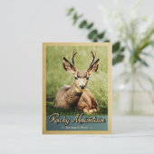 Nationaal Park Deer  in Rocky Mountain Briefkaart (Staand voorkant)