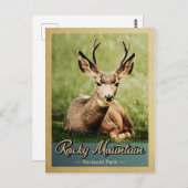 Nationaal Park Deer  in Rocky Mountain Briefkaart (Voorkant / Achterkant)