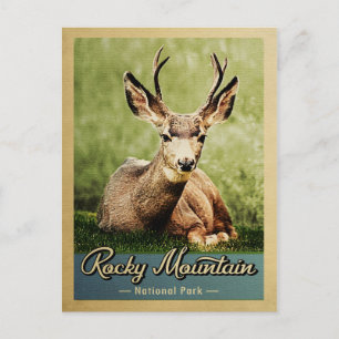 Nationaal Park Deer  in Rocky Mountain Briefkaart