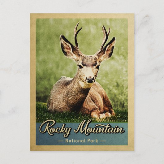 Nationaal Park Deer  in Rocky Mountain Briefkaart (Voorkant)
