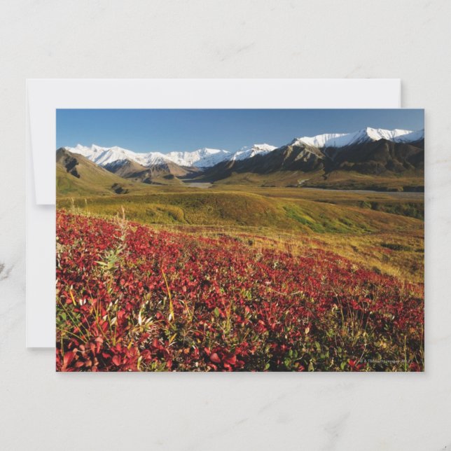 Nationaal park Denali (Voorkant)