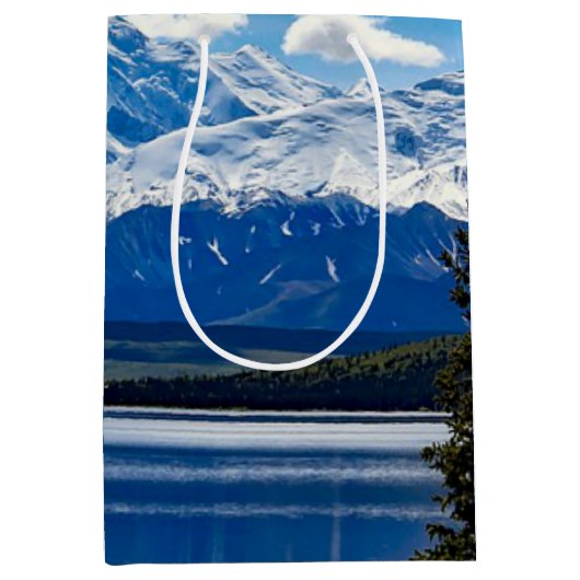 Nationaal park Denali, Alaska Medium Cadeauzakje (Voorkant)