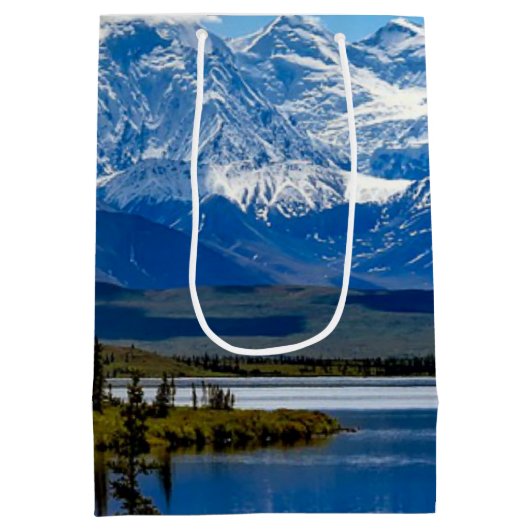 Nationaal park Denali, Alaska Medium Cadeauzakje (Achterkant)