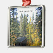 Nationaal Park Denali, Alaska Metalen Ornament (Links)