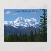 Nationaal Park Denali Briefkaart (Voorkant)