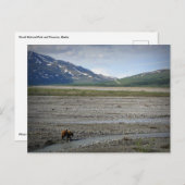 Nationaal Park Denali en Preserve, Alaska Briefkaart (Voorkant / Achterkant)