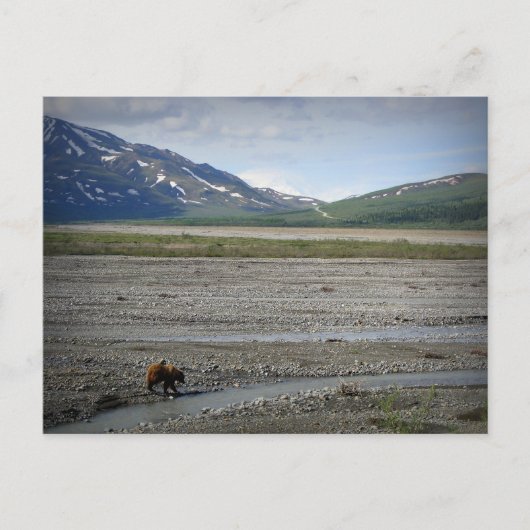 Nationaal Park Denali en Preserve, Alaska Briefkaart (Voorkant)