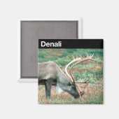 Nationaal park Denali Magneet (Voorkant / Achterkant)