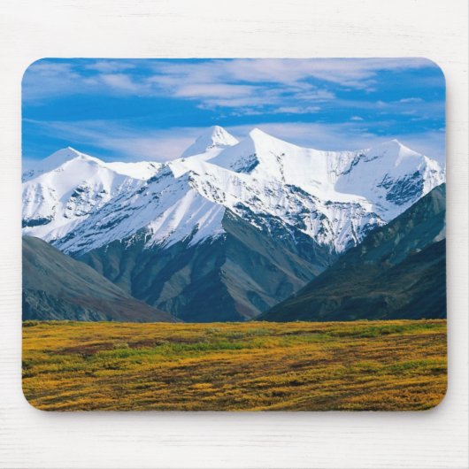 Nationaal park Denali mousepad Muismat (Voorkant)