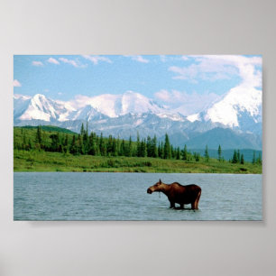 Nationaal park Denali Poster