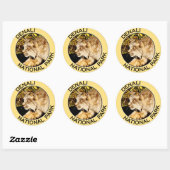 Nationaal park Denali Ronde Sticker (Vel)