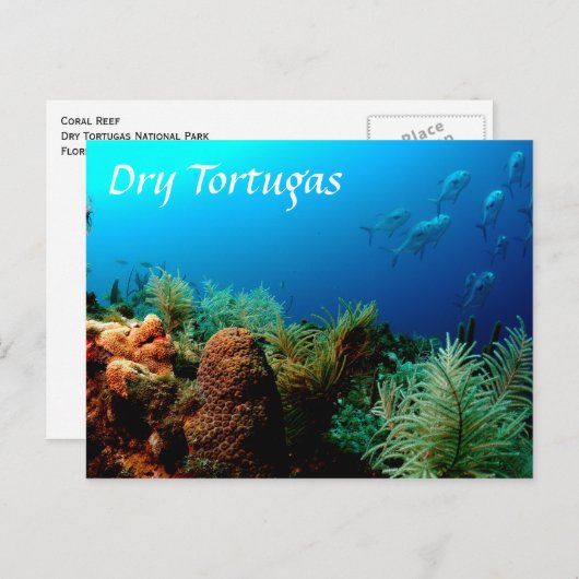 Nationaal park Dry Tortugas, koraalrif Briefkaart (Voorkant / Achterkant)