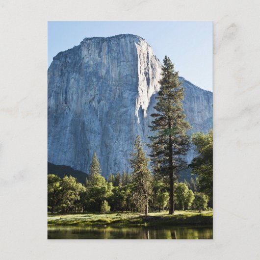 Nationaal Park El Capitan Yosemite Briefkaart (Voorkant)