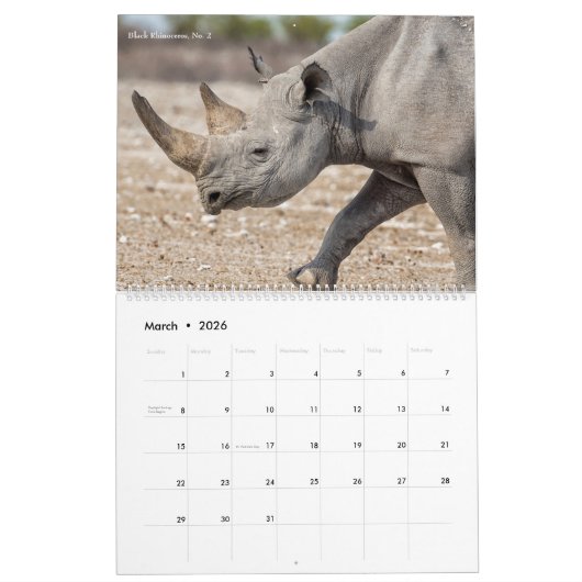 Nationaal Park Etosha Kalender (Mar 2026)
