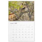 Nationaal Park Etosha Kalender (Jan 2027)