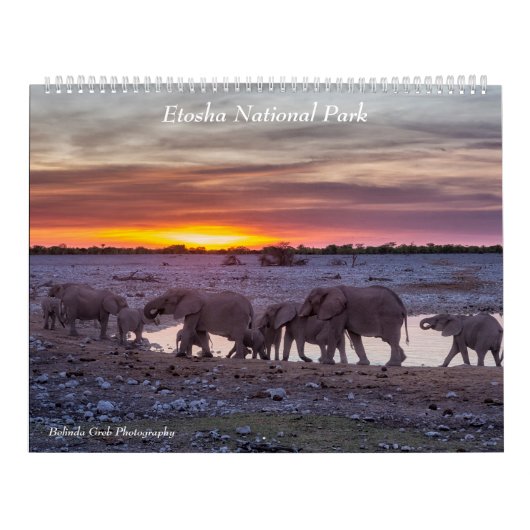 Nationaal Park Etosha Kalender (Hoes)