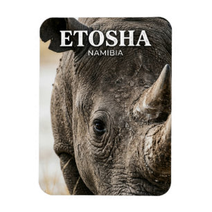Nationaal park Etosha Namibië Magneet