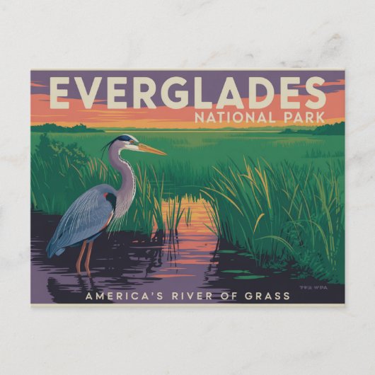 Nationaal park Everglades Briefkaart (Voorkant)