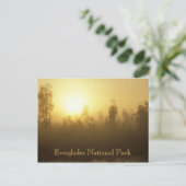 Nationaal park Everglades Briefkaart (Staand voorkant)