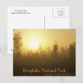 Nationaal park Everglades Briefkaart (Voorkant / Achterkant)
