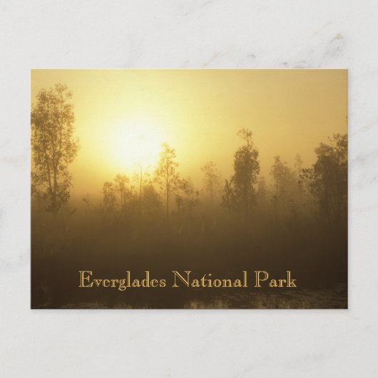 Nationaal park Everglades Briefkaart (Voorkant)