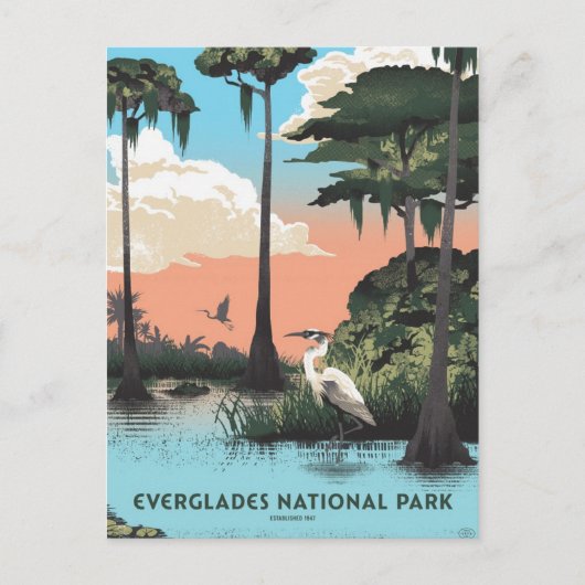 Nationaal park Everglades Briefkaart (Voorkant)