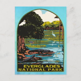 Nationaal park Everglades Briefkaart