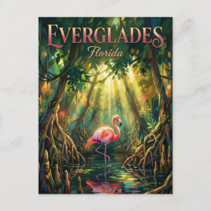Nationaal park Everglades Florida Briefkaart