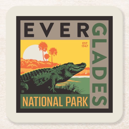Nationaal park Everglades | Florida Kartonnen Onderzetters (Voorkant)