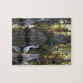 Nationaal park Everglades Legpuzzel (Horizontaal)