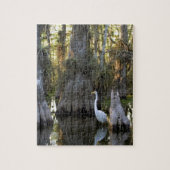 Nationaal park Everglades Legpuzzel (Verticaal)