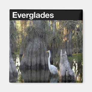 Nationaal park Everglades Magneet