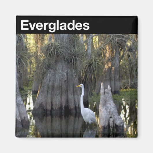 Nationaal park Everglades Magneet (Voorkant)