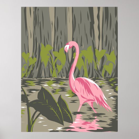 Nationaal park Everglades Poster (Voorkant)