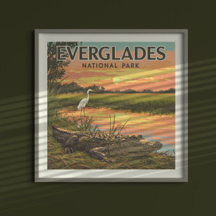 Nationaal Park Everglades Poster