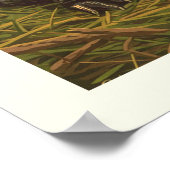 Nationaal Park  Everglades Poster (Hoek)