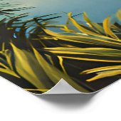 Nationaal park Everglades Poster (Hoek)