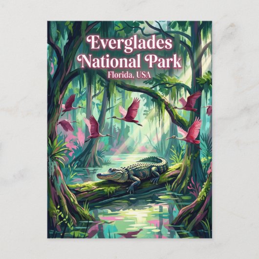 Nationaal park Everglades VS Briefkaart (Voorkant)