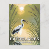 Nationaal park Everglades | Waterverf ooievaar Briefkaart (Voorkant)