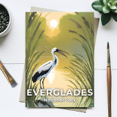 Nationaal park Everglades | Waterverf ooievaar Briefkaart
