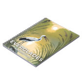 Nationaal park Everglades | Waterverf ooievaar Notitieboek (Linkerzijde)