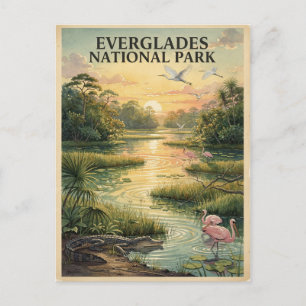 Nationaal park Everglades Wildlife Waterverf Briefkaart