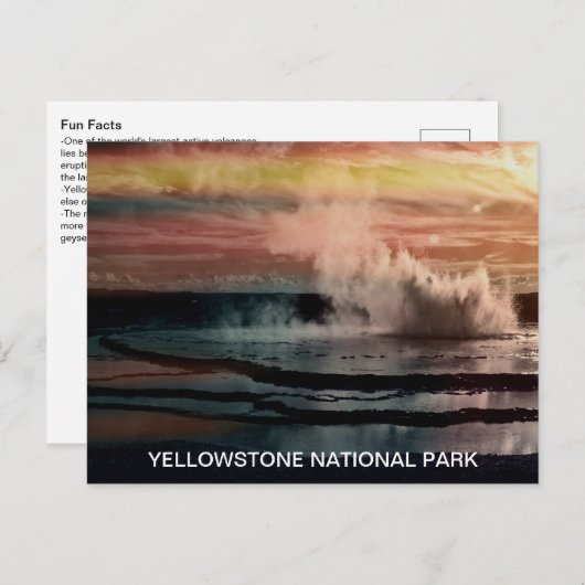 Nationaal park Geyser Fun Facts Yellowstone Briefkaart (Voorkant / Achterkant)