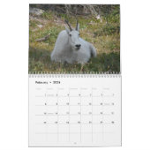 Nationaal park Glacier Kalender (Feb 2026)