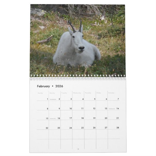 Nationaal park Glacier Kalender (Feb 2026)