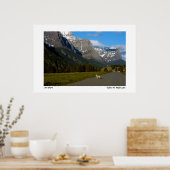 Nationaal park Glacier - Lone Coyote Poster (Keuken)