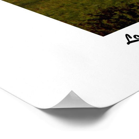 Nationaal park Glacier - Lone Coyote Poster (Hoek)